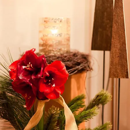 Pensionat Gletscherblick 3*