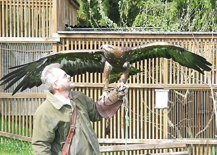 Pensionat Gletscherblick Fulpmes