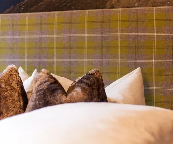 Pensjonat Gletscherblick Fulpmes