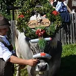 Gletscherblick Fulpmes