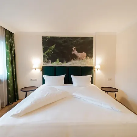 格雷兹齐尔布里克旅馆 3* 富尔普梅斯