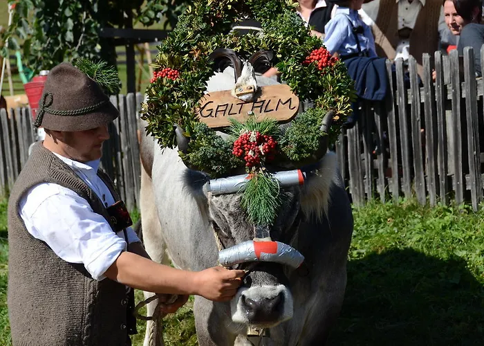格雷兹齐尔布里克旅馆 富尔普梅斯