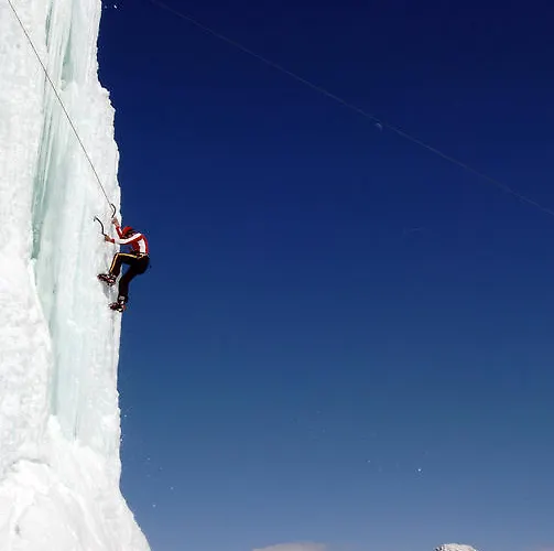 招待所 格雷兹齐尔布里克旅馆 3*