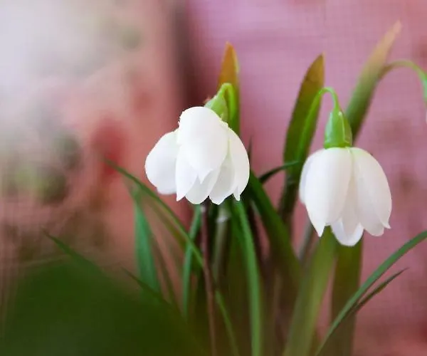 Gæstehus Gletscherblick 3*